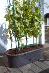 green basics jardiniere treillis 80cm living noir